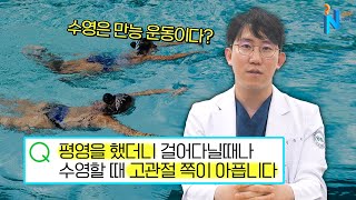 [궁금한이야기N] 수영은 사실 관절에 좋은 운동이 아니다!?